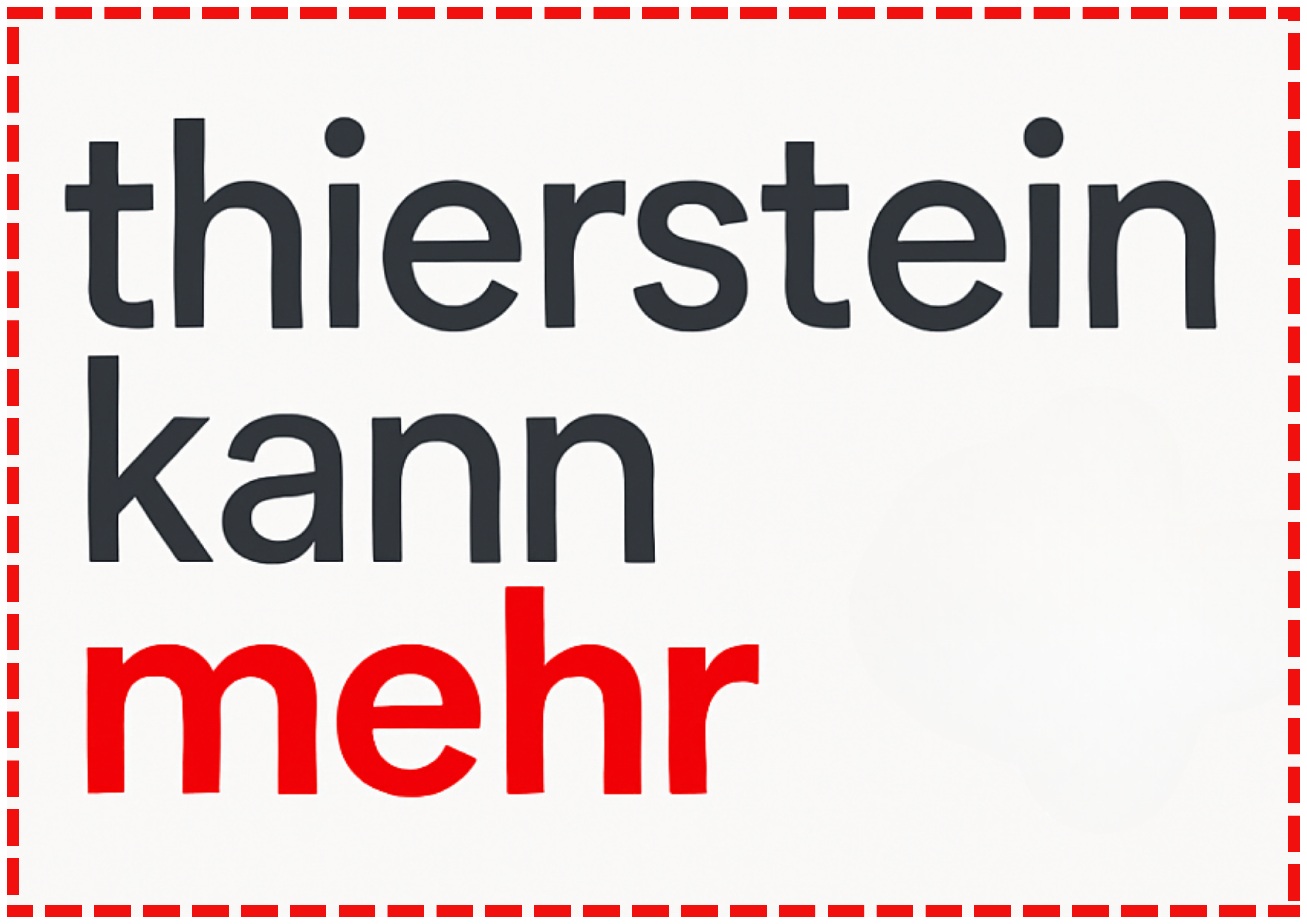 Thierstein kann mehr Logo
